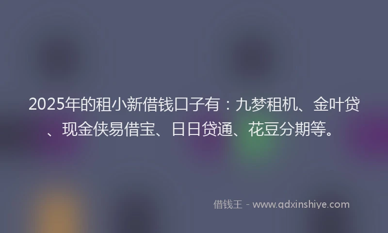 2025年的租小新借钱口子有：九梦租机、金叶贷、现金侠易借宝、日日贷通、花豆分期等。