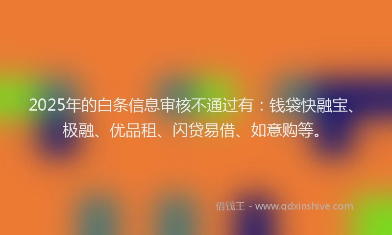 2025年的白条信息审核不通过有：钱袋快融宝、极融、优品租、闪贷易借、如意购等。