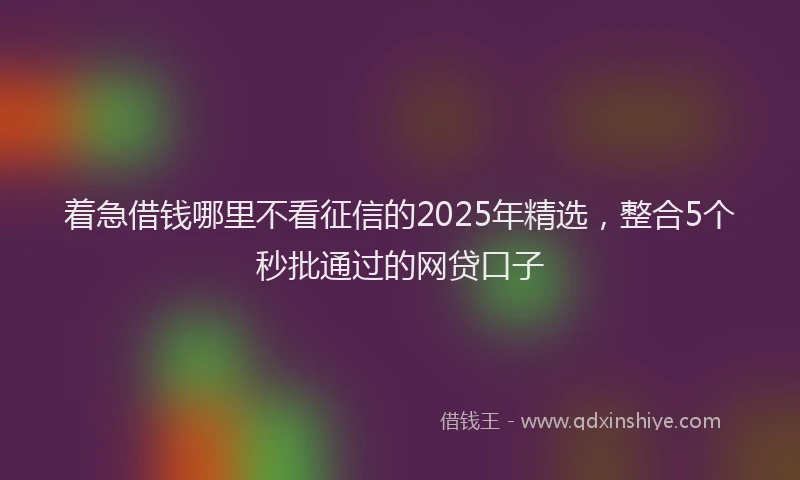 着急借钱哪里不看征信的2025年精选，整合5个秒批通过的网贷口子