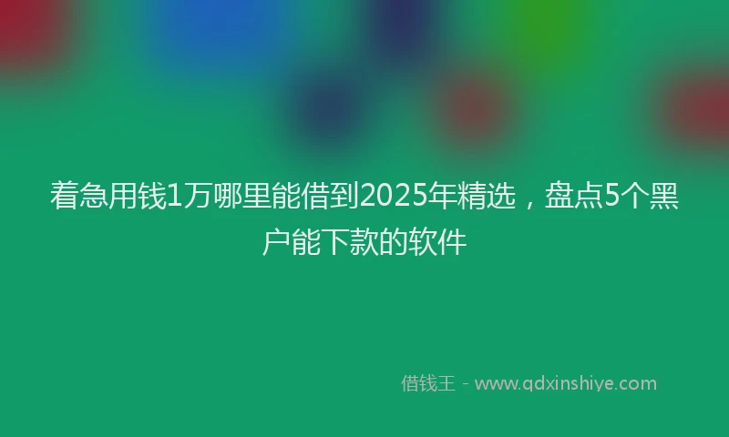 着急用钱1万哪里能借到2025年精选，盘点5个黑户能下款的软件