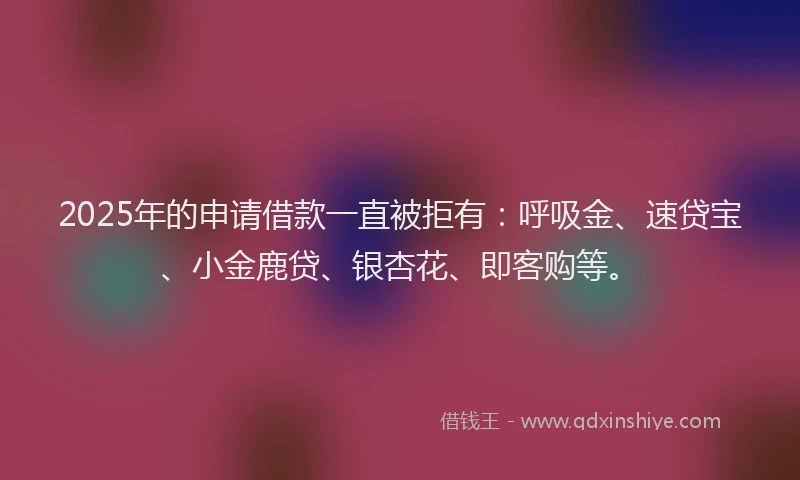 2025年的申请借款一直被拒有：呼吸金、速贷宝、小金鹿贷、银杏花、即客购等。