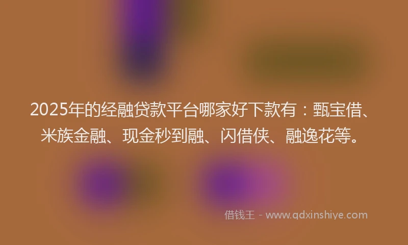 2025年的经融贷款平台哪家好下款有：甄宝借、米族金融、现金秒到融、闪借侠、融逸花等。