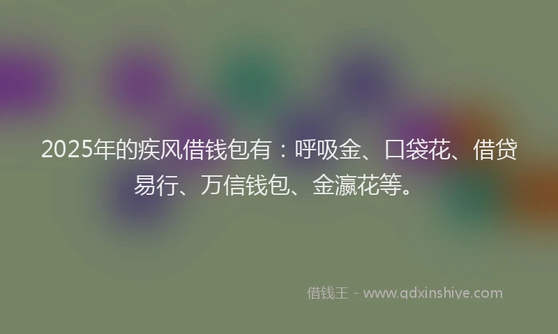 2025年的疾风借钱包有：呼吸金、口袋花、借贷易行、万信钱包、金瀛花等。