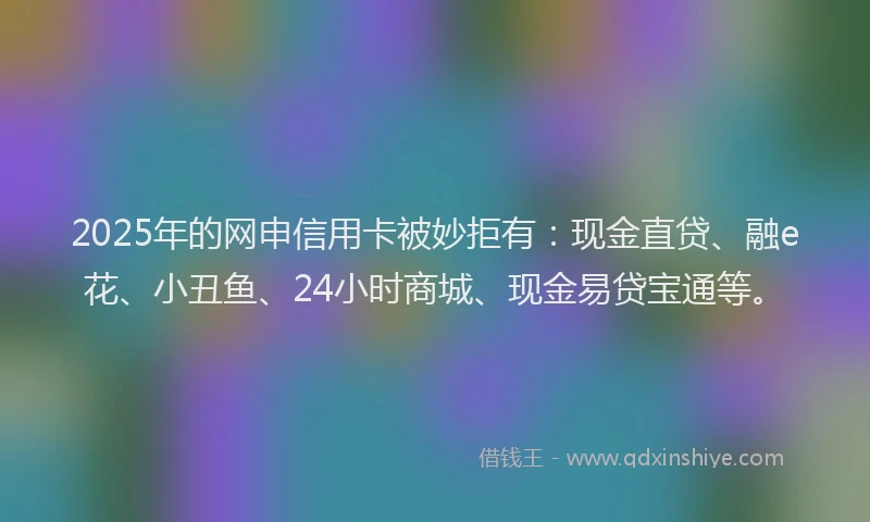 2025年的网申信用卡被妙拒有：现金直贷、融e花、小丑鱼、24小时商城、现金易贷宝通等。