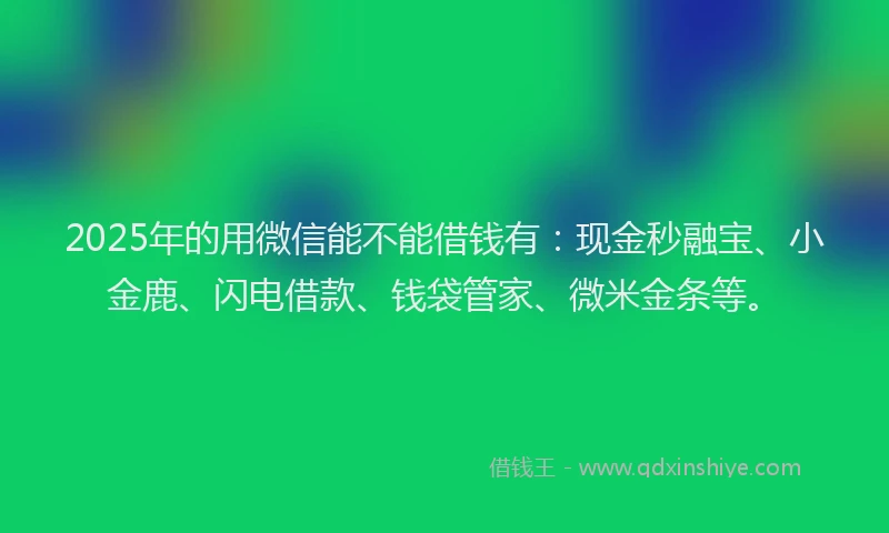 2025年的用微信能不能借钱有：现金秒融宝、小金鹿、闪电借款、钱袋管家、微米金条等。