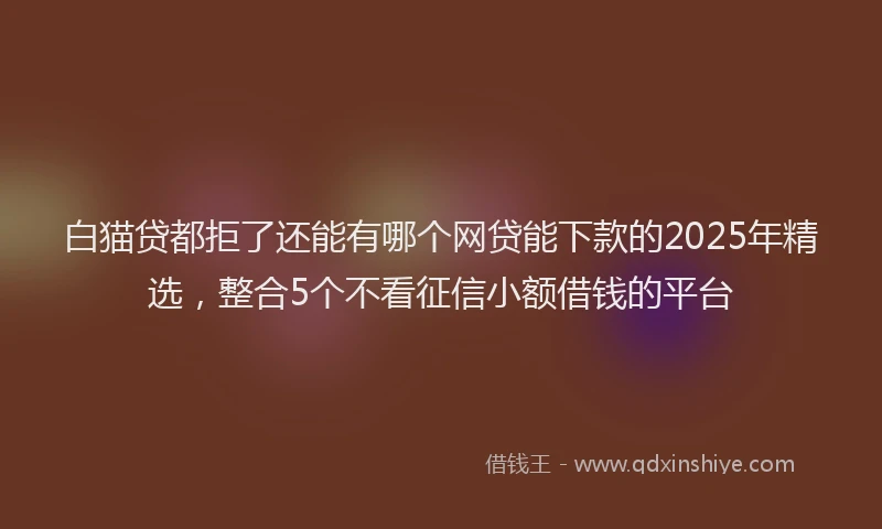 白猫贷都拒了还能有哪个网贷能下款的2025年精选，整合5个不看征信小额借钱的平台