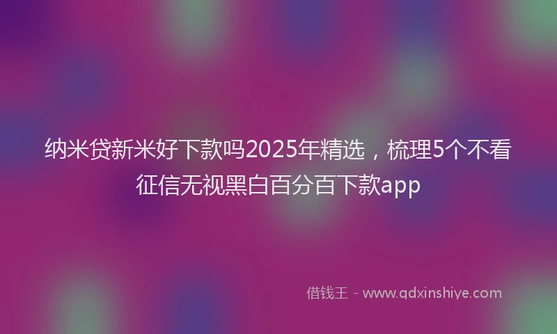 纳米贷新米好下款吗2025年精选，梳理5个不看征信无视黑白百分百下款app