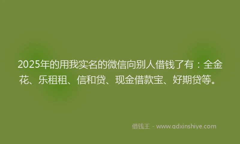 2025年的用我实名的微信向别人借钱了有：全金花、乐租租、信和贷、现金借款宝、好期贷等。