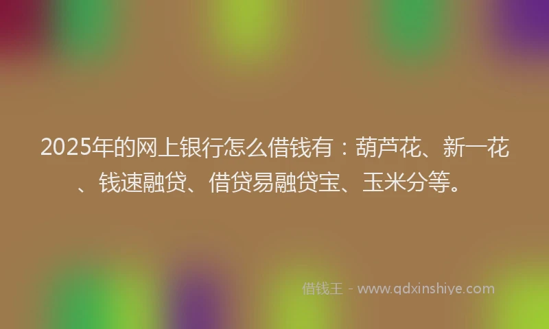2025年的网上银行怎么借钱有：葫芦花、新一花、钱速融贷、借贷易融贷宝、玉米分等。