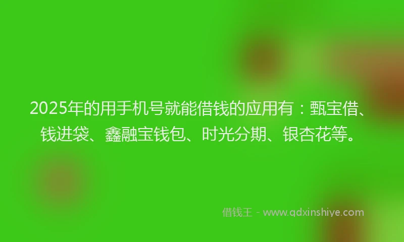 2025年的用手机号就能借钱的应用有：甄宝借、钱进袋、鑫融宝钱包、时光分期、银杏花等。