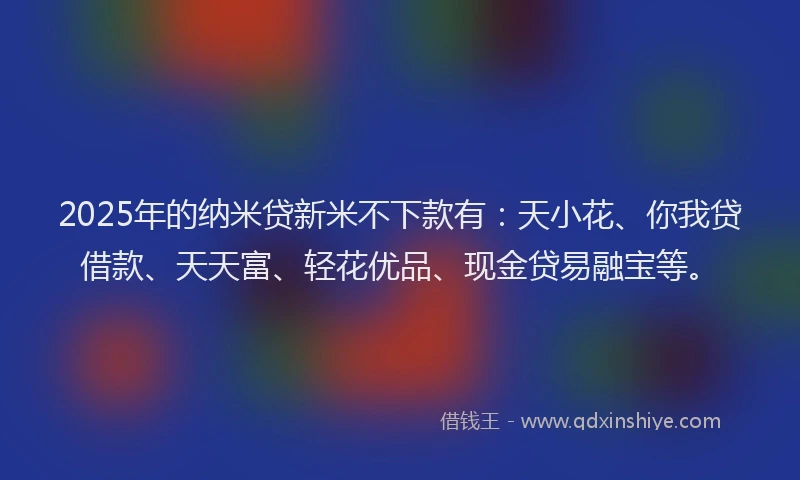 2025年的纳米贷新米不下款有：天小花、你我贷借款、天天富、轻花优品、现金贷易融宝等。