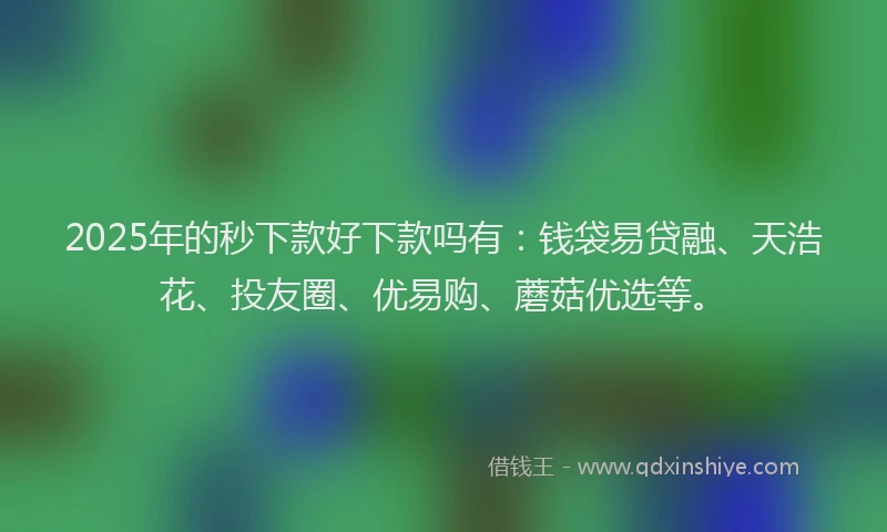 2025年的秒下款好下款吗有：钱袋易贷融、天浩花、投友圈、优易购、蘑菇优选等。