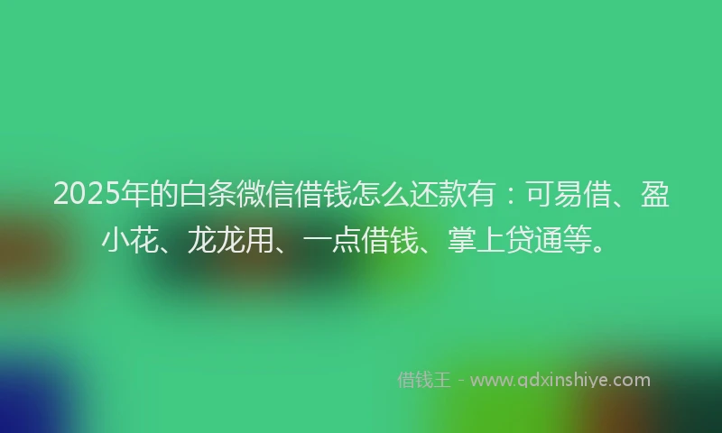 2025年的白条微信借钱怎么还款有：可易借、盈小花、龙龙用、一点借钱、掌上贷通等。