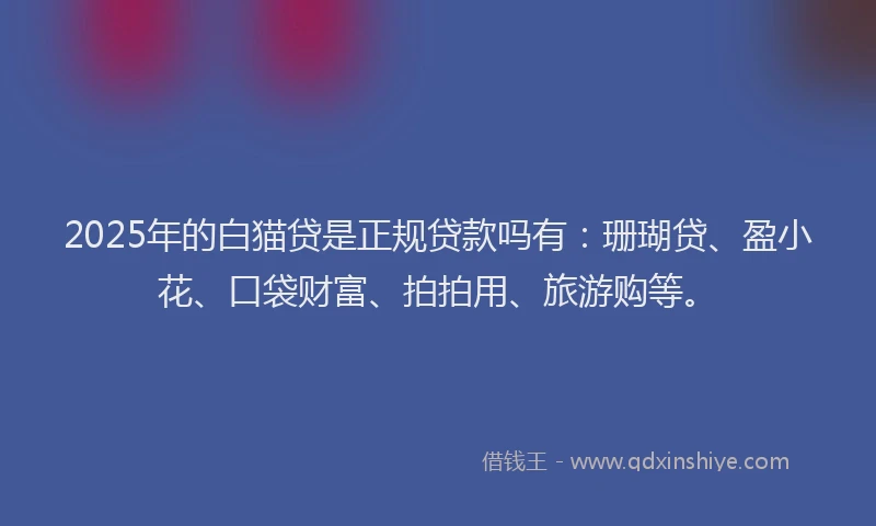 2025年的白猫贷是正规贷款吗有：珊瑚贷、盈小花、口袋财富、拍拍用、旅游购等。