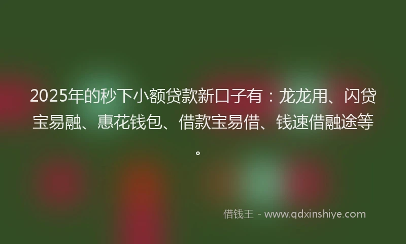 2025年的秒下小额贷款新口子有：龙龙用、闪贷宝易融、惠花钱包、借款宝易借、钱速借融途等。