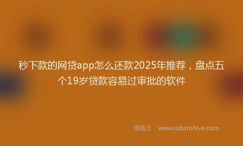 秒下款的网贷app怎么还款2025年推荐，盘点五个19岁贷款容易过审批的软件