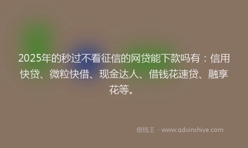 2025年的秒过不看征信的网贷能下款吗有：信用快贷、微粒快借、现金达人、借钱花速贷、融享花等。