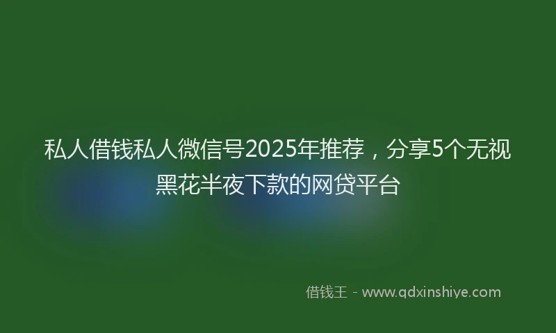 私人借钱私人微信号2025年推荐，分享5个无视黑花半夜下款的网贷平台