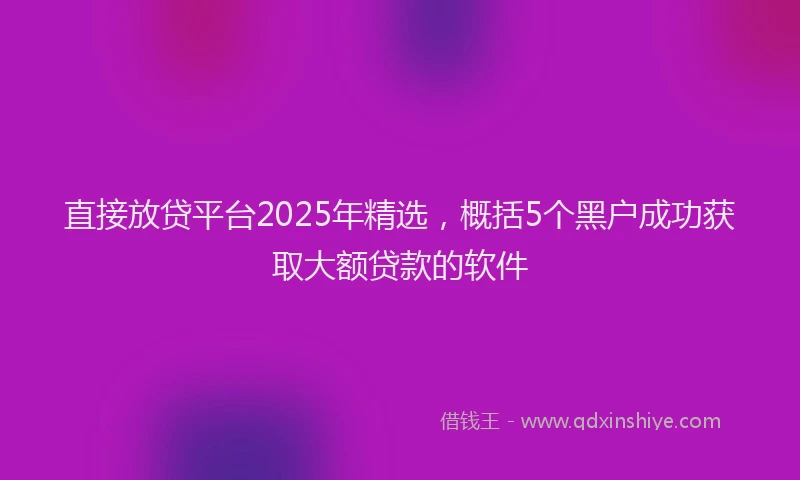 直接放贷平台2025年精选，概括5个黑户成功获取大额贷款的软件