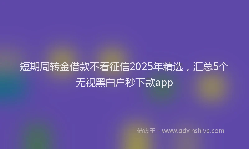短期周转金借款不看征信2025年精选，汇总5个无视黑白户秒下款app