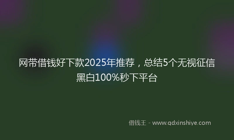 网带借钱好下款2025年推荐，总结5个无视征信黑白100%秒下平台