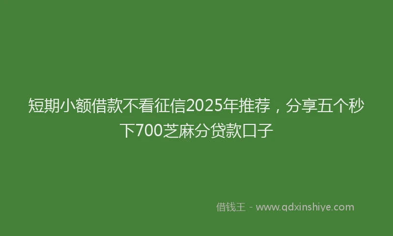 短期小额借款不看征信2025年推荐，分享五个秒下700芝麻分贷款口子