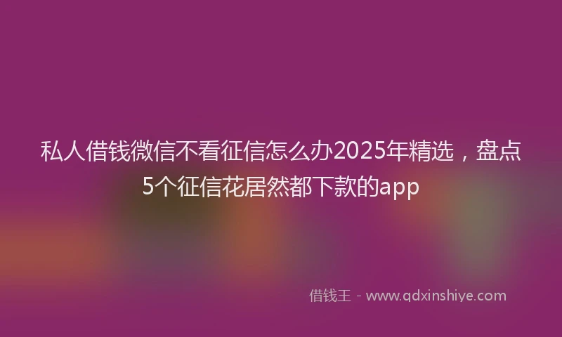 私人借钱微信不看征信怎么办2025年精选，盘点5个征信花居然都下款的app