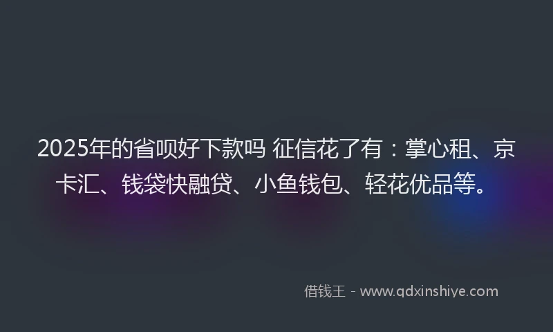 2025年的省呗好下款吗 征信花了有：掌心租、京卡汇、钱袋快融贷、小鱼钱包、轻花优品等。