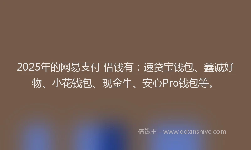 2025年的网易支付 借钱有：速贷宝钱包、鑫诚好物、小花钱包、现金牛、安心Pro钱包等。