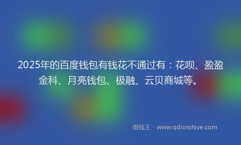 2025年的百度钱包有钱花不通过有：花呗、盈盈金科、月亮钱包、极融、云贝商城等。