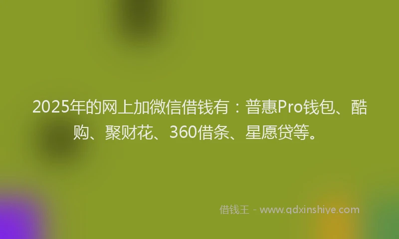 2025年的网上加微信借钱有：普惠Pro钱包、酷购、聚财花、360借条、星愿贷等。