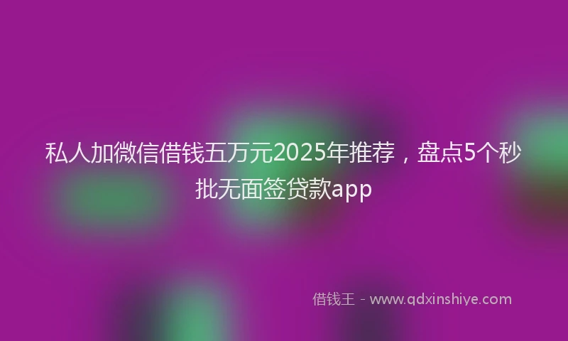 私人加微信借钱五万元2025年推荐，盘点5个秒批无面签贷款app