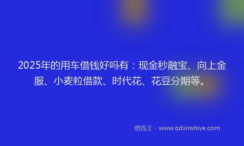 2025年的用车借钱好吗有：现金秒融宝、向上金服、小麦粒借款、时代花、花豆分期等。