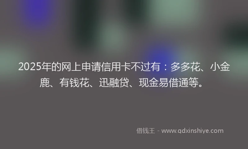 2025年的网上申请信用卡不过有：多多花、小金鹿、有钱花、迅融贷、现金易借通等。