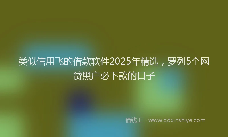 类似信用飞的借款软件2025年精选，罗列5个网贷黑户必下款的口子