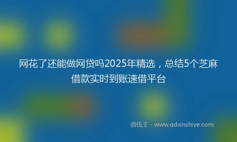 网花了还能做网贷吗2025年精选，总结5个芝麻借款实时到账速借平台
