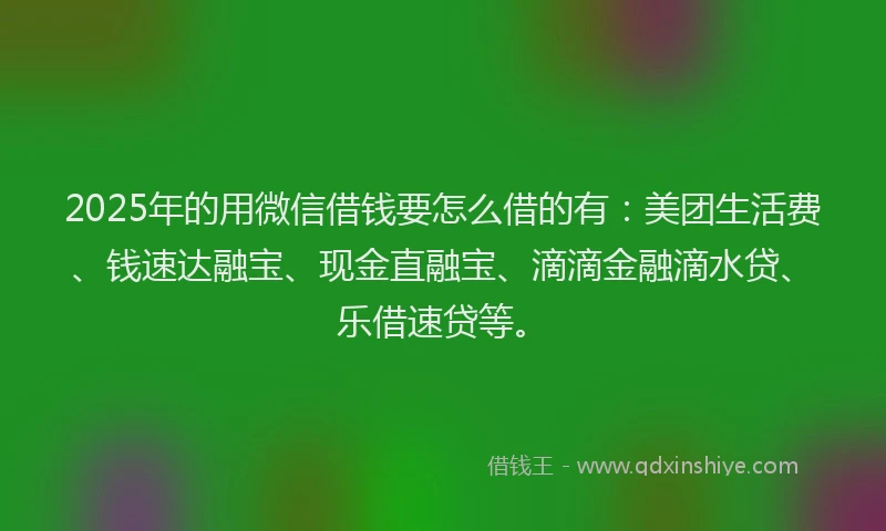 2025年的用微信借钱要怎么借的有：美团生活费、钱速达融宝、现金直融宝、滴滴金融滴水贷、乐借速贷等。