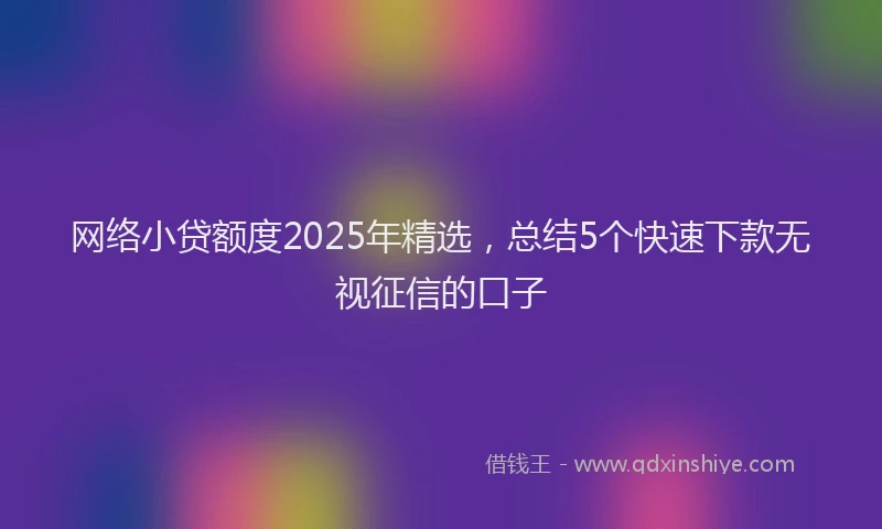 网络小贷额度2025年精选，总结5个快速下款无视征信的口子