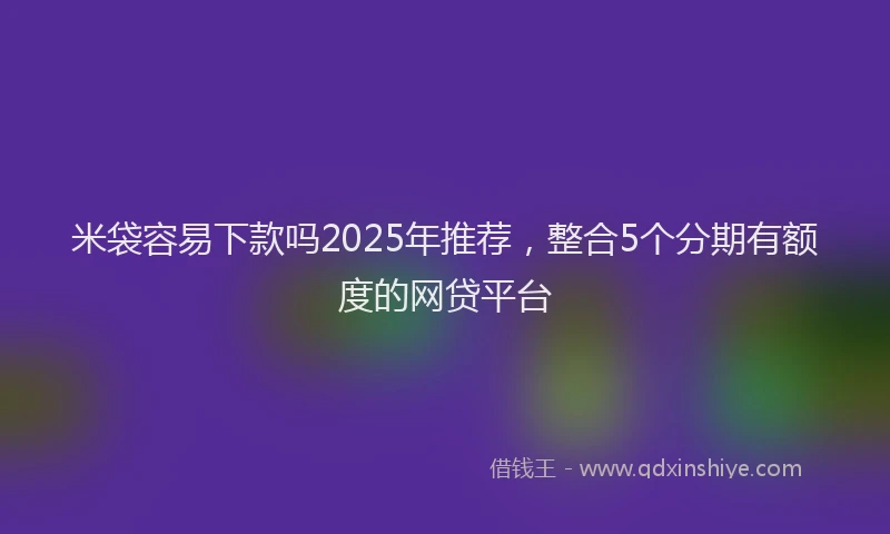 米袋容易下款吗2025年推荐，整合5个分期有额度的网贷平台