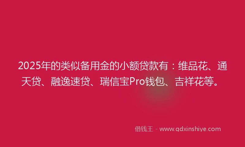 2025年的类似备用金的小额贷款有：维品花、通天贷、融逸速贷、瑞信宝Pro钱包、吉祥花等。