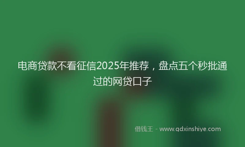 电商贷款不看征信2025年推荐，盘点五个秒批通过的网贷口子