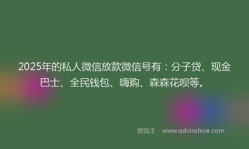 2025年的私人微信放款微信号有：分子贷、现金巴士、全民钱包、嗨购、森森花呗等。