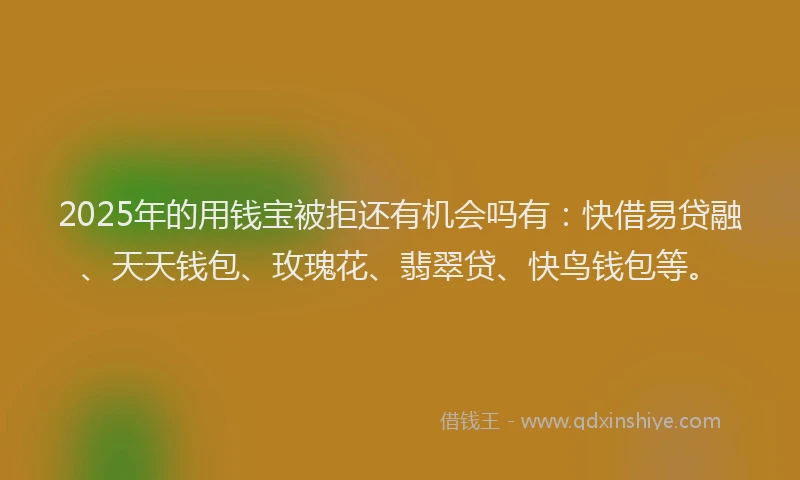 2025年的用钱宝被拒还有机会吗有：快借易贷融、天天钱包、玫瑰花、翡翠贷、快鸟钱包等。