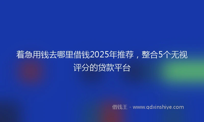 着急用钱去哪里借钱2025年推荐，整合5个无视评分的贷款平台