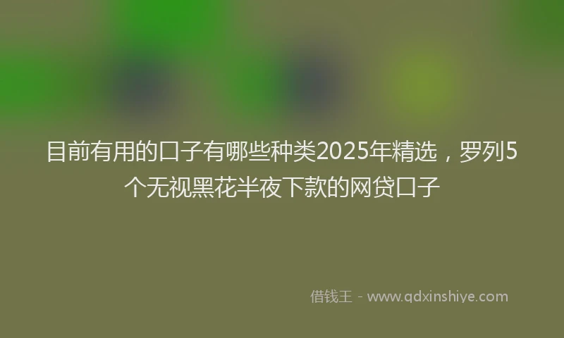 目前有用的口子有哪些种类2025年精选，罗列5个无视黑花半夜下款的网贷口子