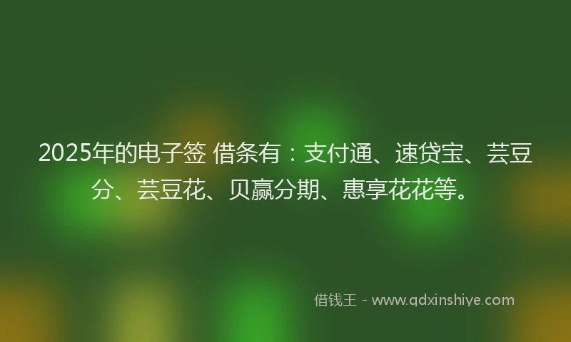 2025年的电子签 借条有：支付通、速贷宝、芸豆分、芸豆花、贝赢分期、惠享花花等。