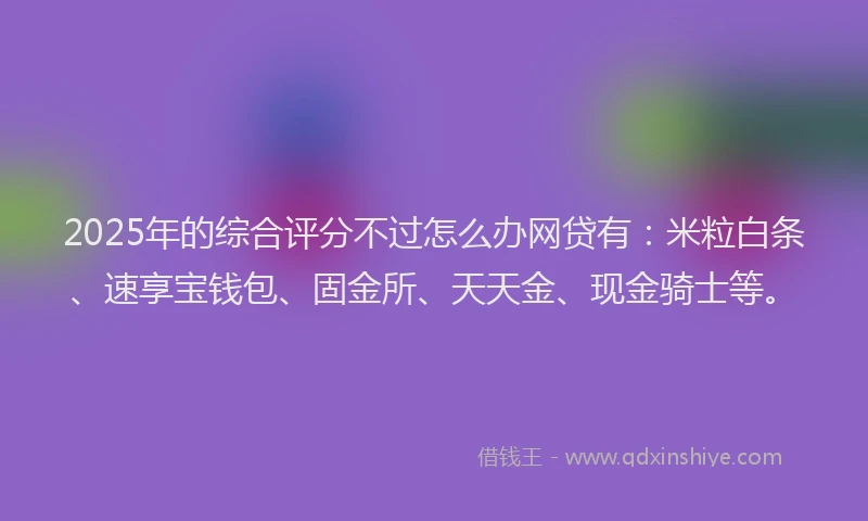 2025年的综合评分不过怎么办网贷有：米粒白条、速享宝钱包、固金所、天天金、现金骑士等。
