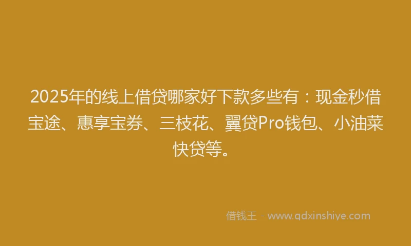 2025年的线上借贷哪家好下款多些有：现金秒借宝途、惠享宝券、三枝花、翼贷Pro钱包、小油菜快贷等。