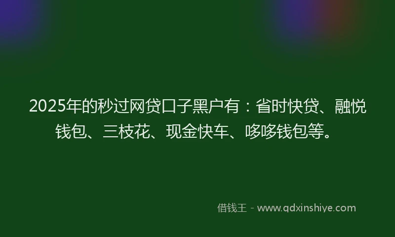 2025年的秒过网贷口子黑户有：省时快贷、融悦钱包、三枝花、现金快车、哆哆钱包等。