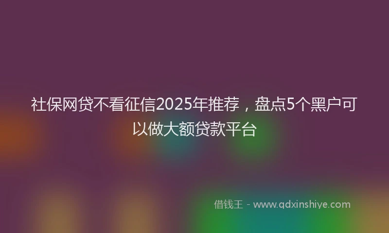 社保网贷不看征信2025年推荐，盘点5个黑户可以做大额贷款平台
